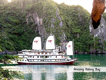 Du thuyền Signature Hạ Long