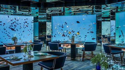 Trải nghiệm thưởng thức các món ăn đẳng cấp và ngắm nhìn sinh vật biển