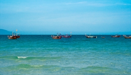Tư vấn du lịch Nha Trang