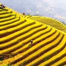 Tư vấn du lịch Sapa