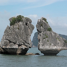 Tư vấn du lịch Vịnh Hạ Long