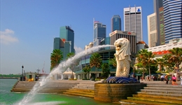 Tư vấn du lịch