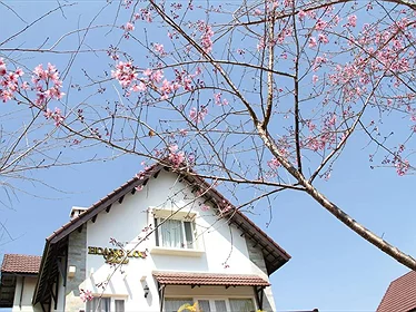 Villa Hoàng Lộc Đà Lạt