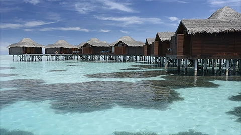 Các Bungalow trên biển