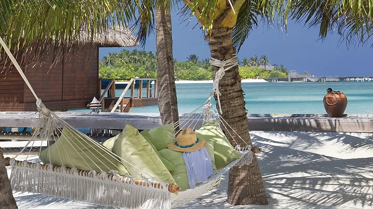 Tận hưởng giấy phút nghỉ ngơi dưới tán dừa xanh mát