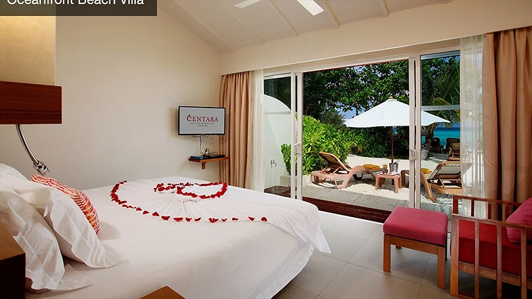 Chào đón một kỳ nghỉ trăng mật lãng mạn với trang trí cánh hoa hồng