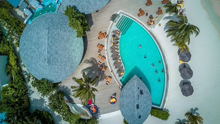 Bể bơi hình chiếc lá thật bắt mắt