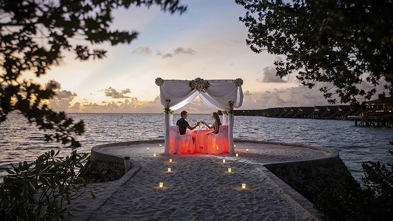 Cơ hội cho lần cầu hôn hết sức đặc biệt và đáng nhớ cho cặp đôi