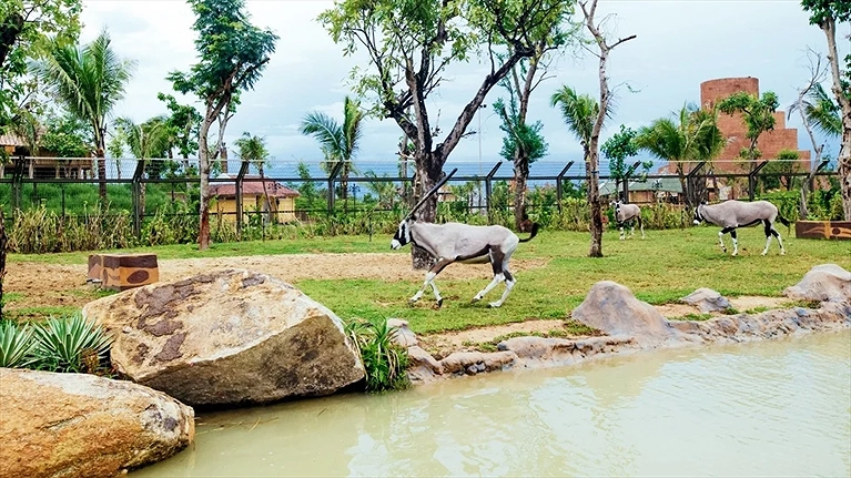 Động vật hoang dã tại River Safari