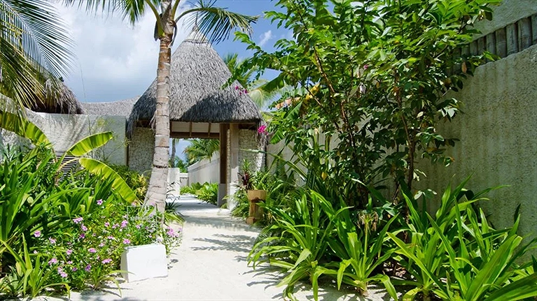 Beach Villa with Pool Sunrise