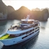 Du thuyền Stellar of The Seas Lan Hạ