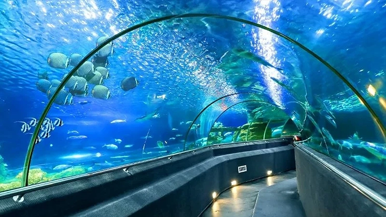 Đường hầm thủy cung