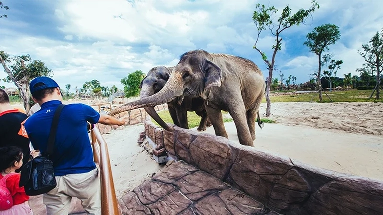 Động vật hoang dã tại River Safari