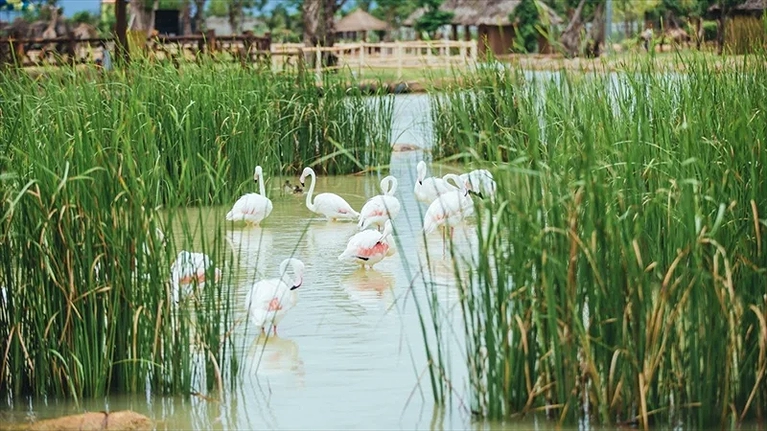 Động vật hoang dã tại River Safari