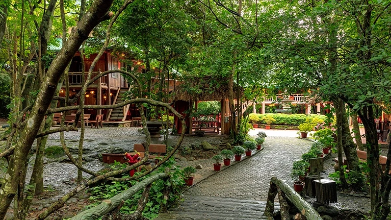 Đường nội bộ tại Yên Tử Village bao phủ sắc xanh