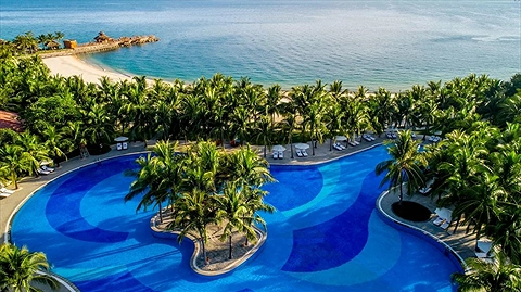 Xanh mát mắt bên hàng dừa uốn quanh