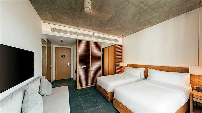 Cúc Tần - Superior