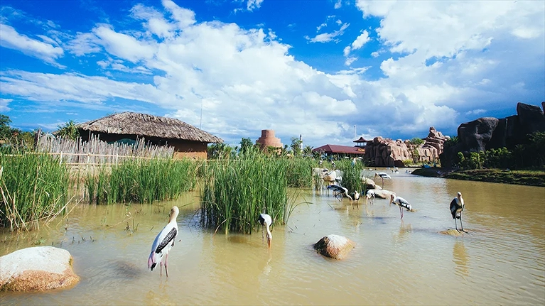 nổi bật như lạc đà Châu Phi, hươu cao cổ, ngựa vằn, tê giác, hổ Bengal, linh dương sừng mác