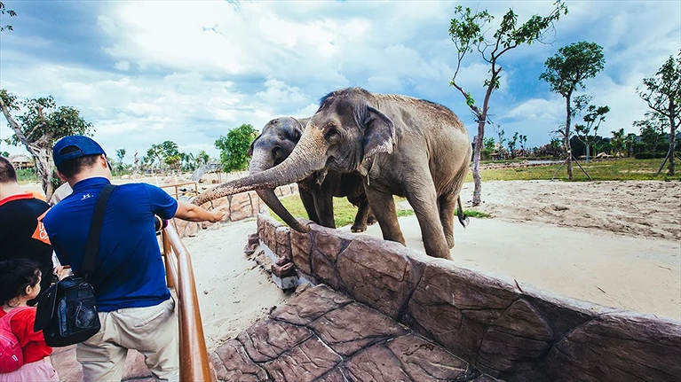 Dọc theo hành trình, thuyền trưởng sẽ dừng chân tại một số địa điểm để du khách tương tác, chụp ảnh