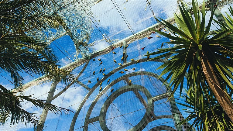 Chuồng vẹt với đủ các màu sắc