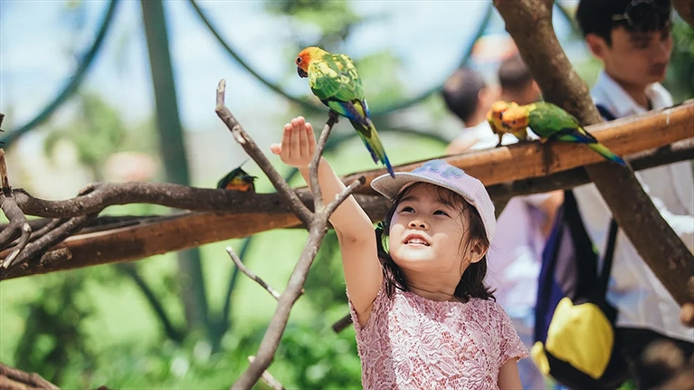 Trẻ em thỏa thích học hỏi và quan sát