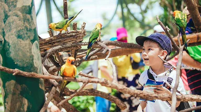 Ngắm nhìn những chú vẹt đang khoe sắc