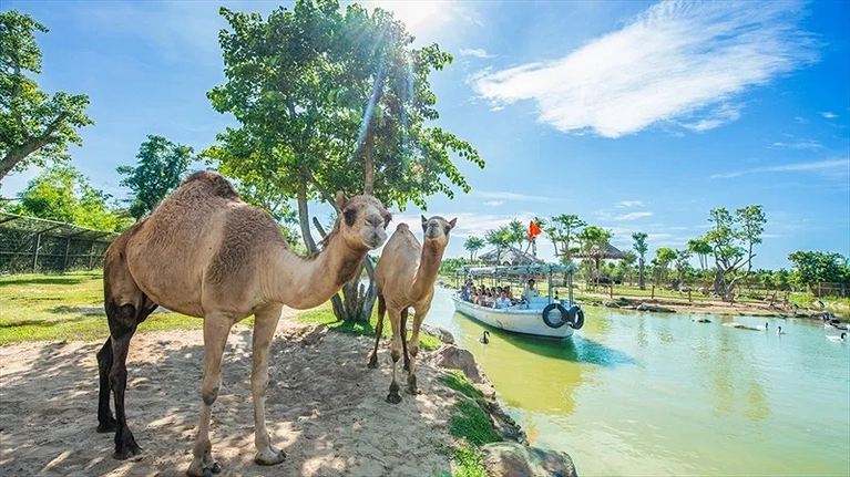 Động vật hoang dã tại River Safari