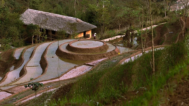 Những thửa ruộng bậc thang đậm chất Tây Bắc