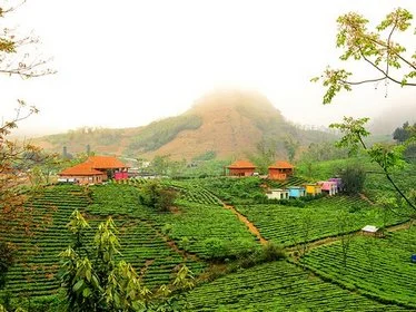 Moc Chau Arena Village