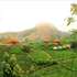 Moc Chau Arena Village
