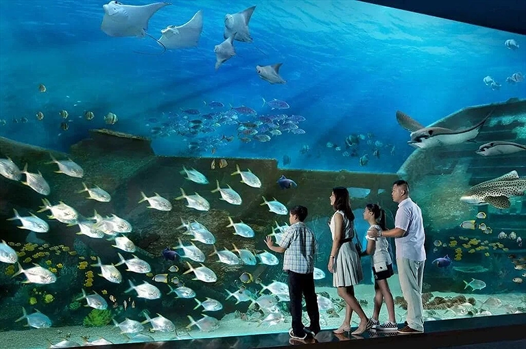 Tham quan Thủy cung S.E.A. Aquarium