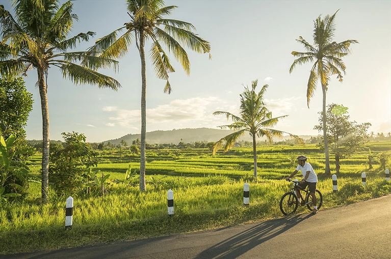 Hít thở không khí trong lành khi đạp xe quanh những cánh đồng vào sáng sớm