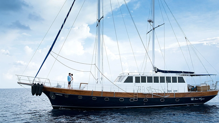 Du thuyền ngắm cá heo vào hoàng hôn