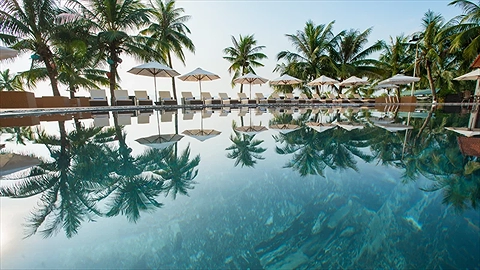 Hồ bơi ngoài trời