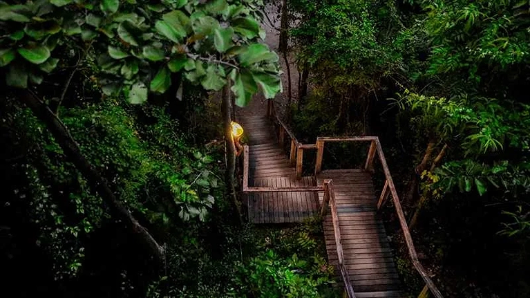 Lối dẫn vào villa Hill Rock