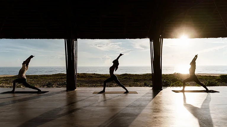 Cùng thư giãn với các bài tập Yoga và đón những ánh nắng sớm mai