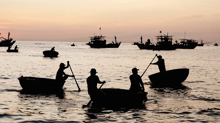 Chợ Cá Tam Tiến buổi sớm mai