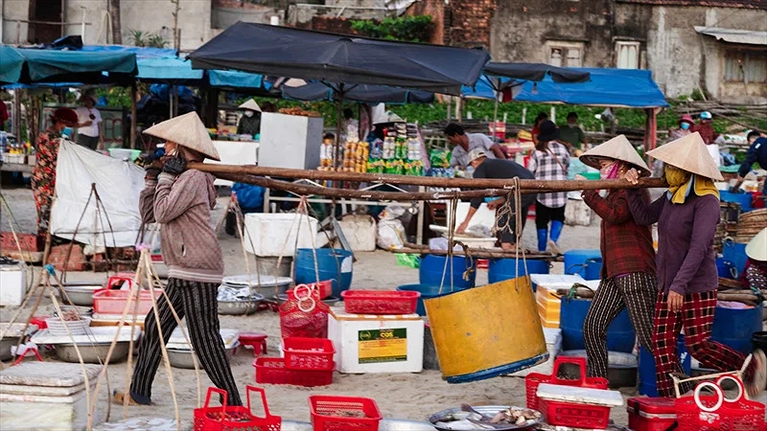 Và tự tay nhìn, lựa những món hải sản tươi rói vừa cập bến với giá cả tốt nhất