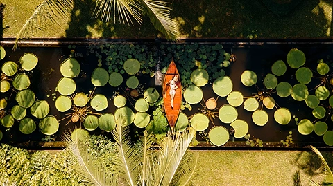 Khu vực hồ sen ấn tượng