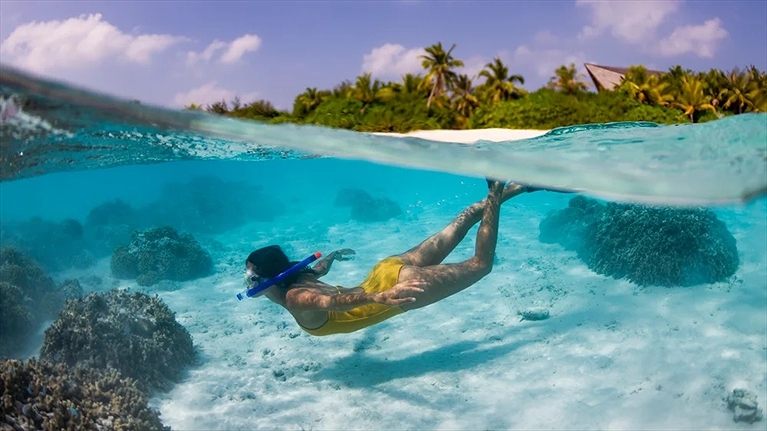 Trải nghiệm lặn ngắm san hô