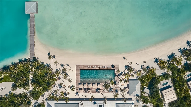 Những rặng dừa tươi mát