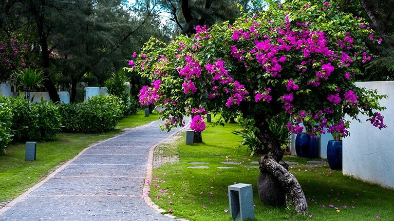 Lối đi vào villa