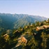 Khu nghỉ dưỡng Sapa Jade Hill