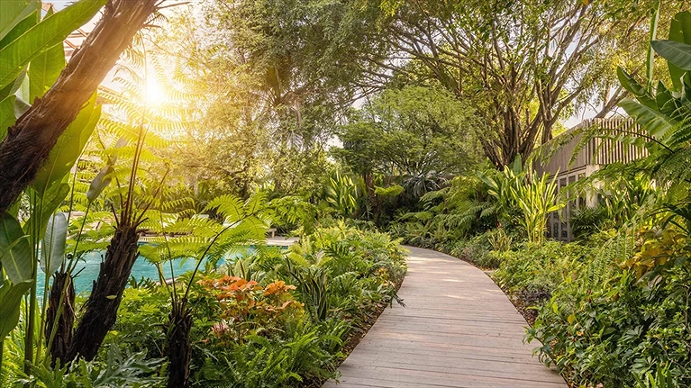 Lối đi xanh mát tại An Lâm