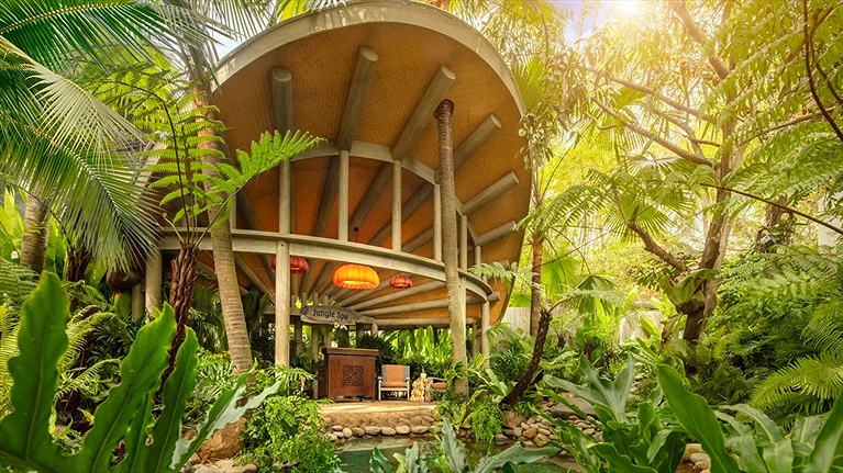 Jungle Spa