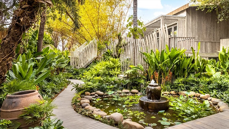 Lối đi xanh mát tại An Lâm