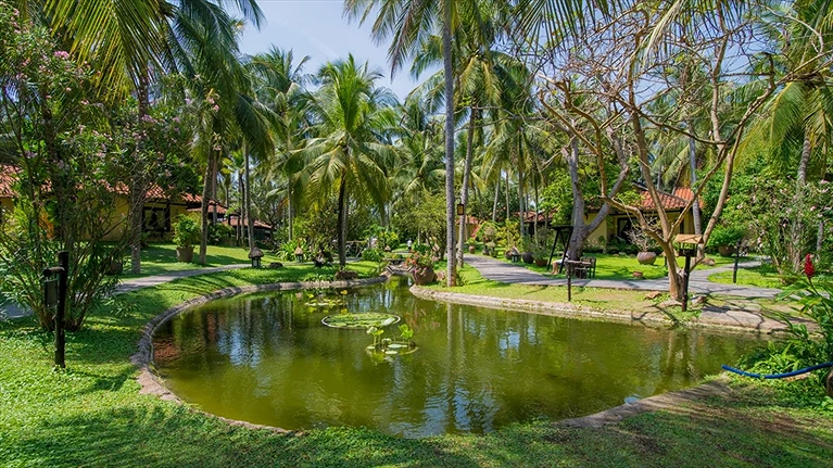 Khuôn viên Resort