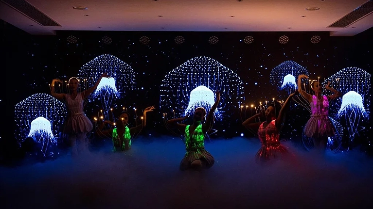 Chương trình ca múa nhạc đặc sắc