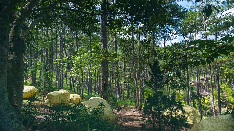 Tham quan Công Viên Trăm Trứng