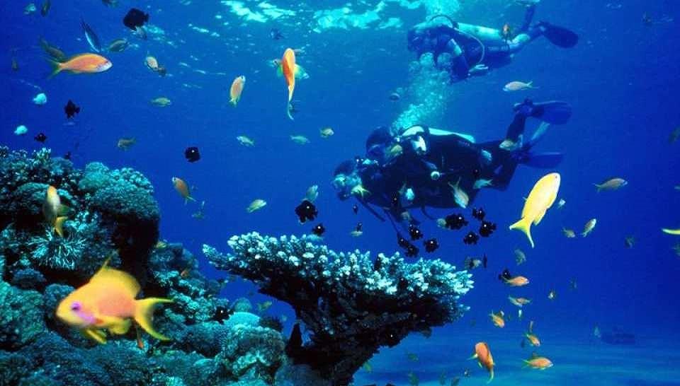 Tour Ngày Lặn Biển Tại Nha Trang